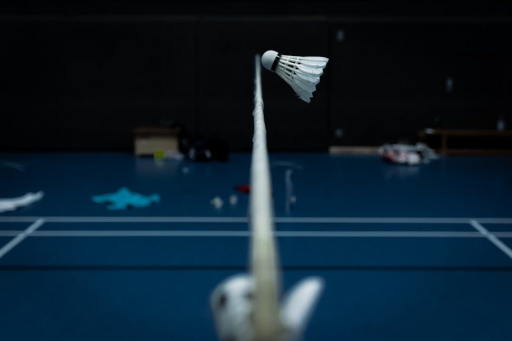 Symbolic Badminton-Picture Nr.1